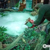 MIW 4738