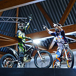 salon auto 2013