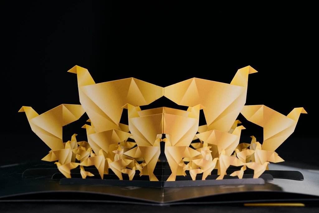 JZI-0014.jpg