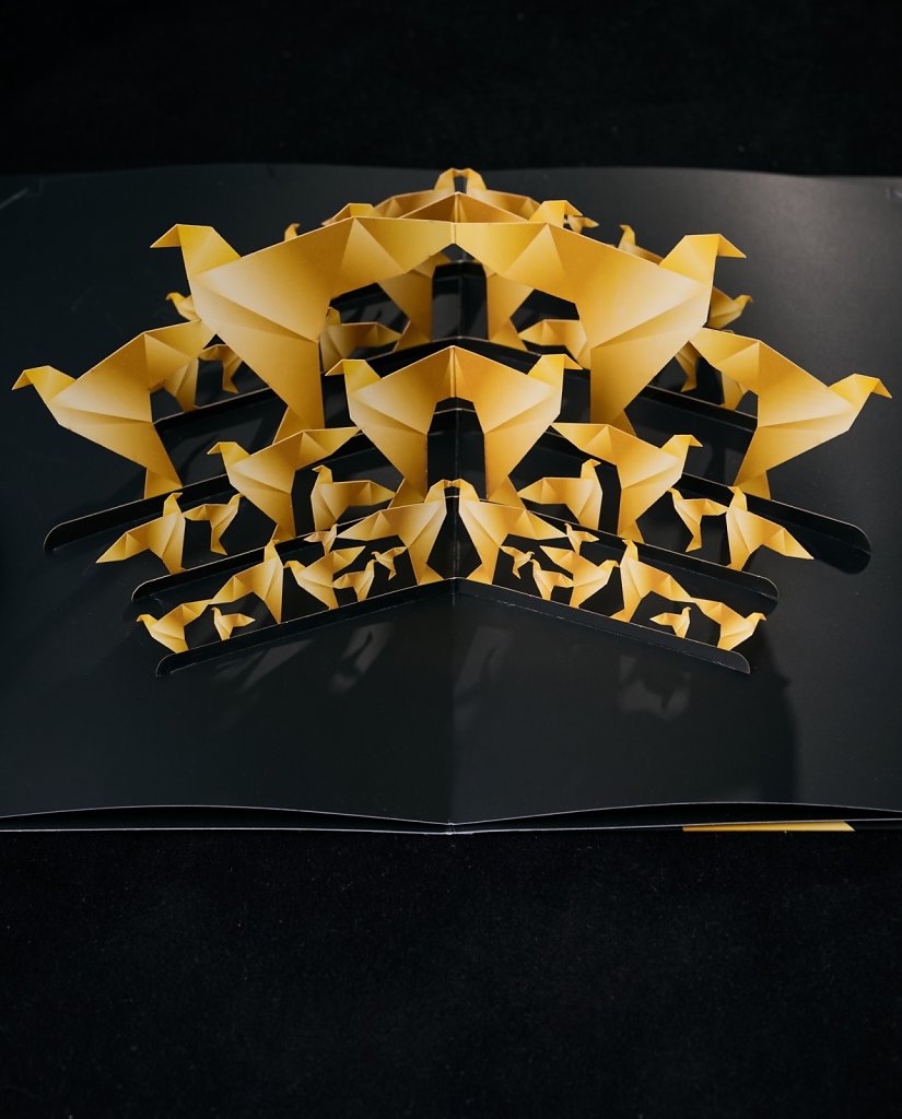 JZI-0015.jpg