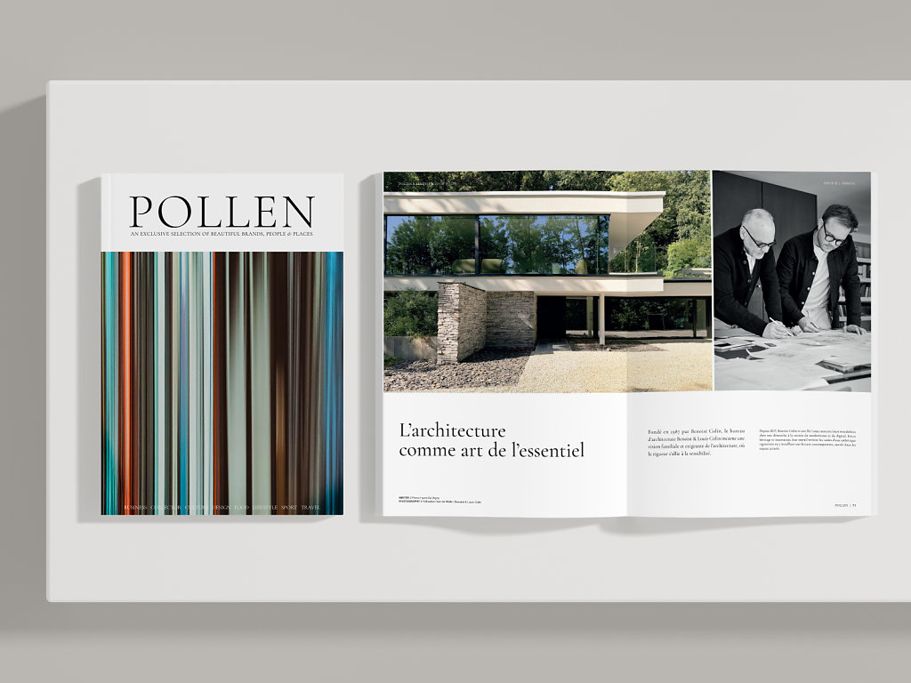 POLLEN-32-COVERS-4127336.jpg