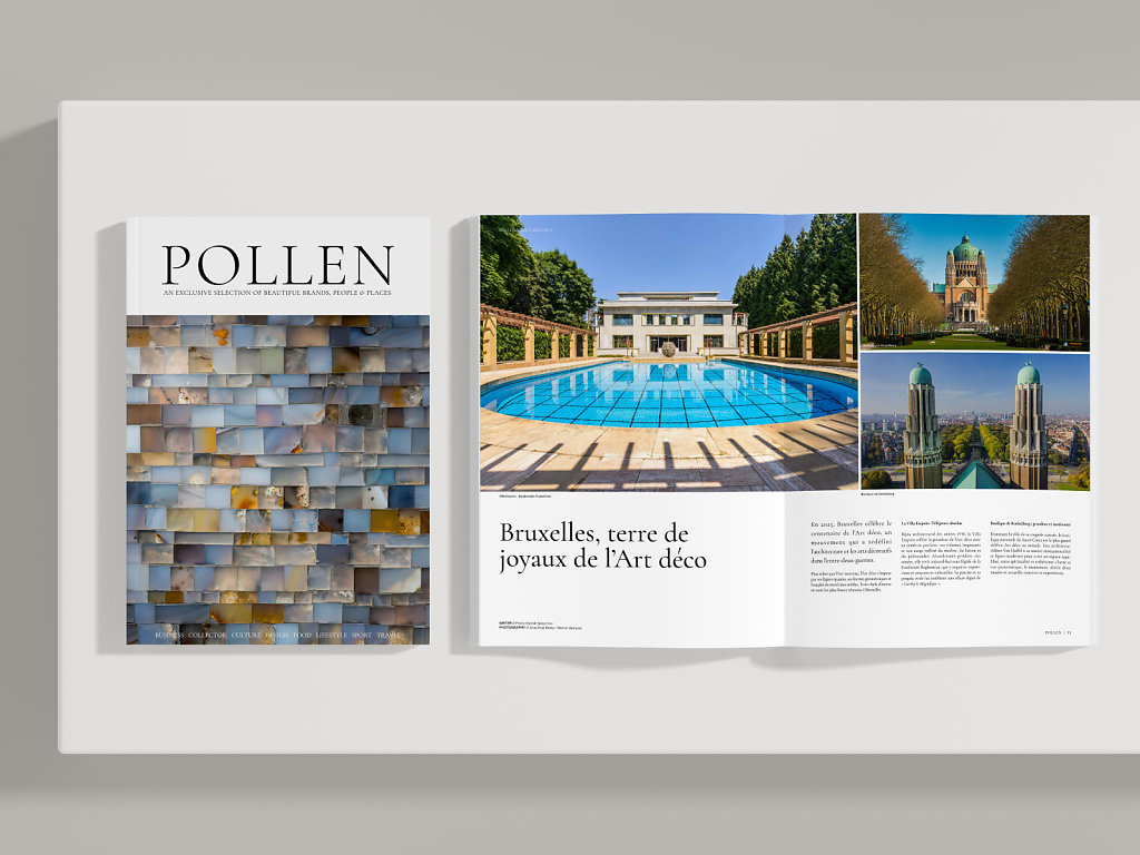 POLLEN-31-COVERS-4127336.jpg